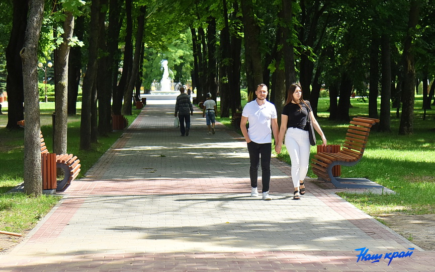 Наш край барановичи. Работать в парке. Велики в парке. Барановичи. Юна парк.