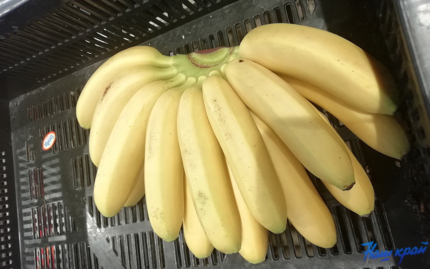Как дольше сохранить бананы. Бананы мини. Беби банан. Baby бананы. Бананы и бананы Беби.