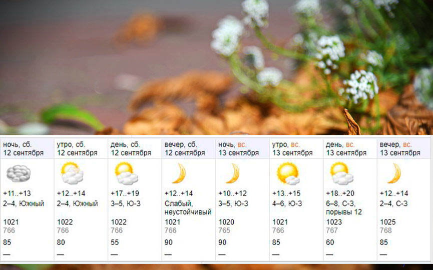 Прогноз погоды осень.