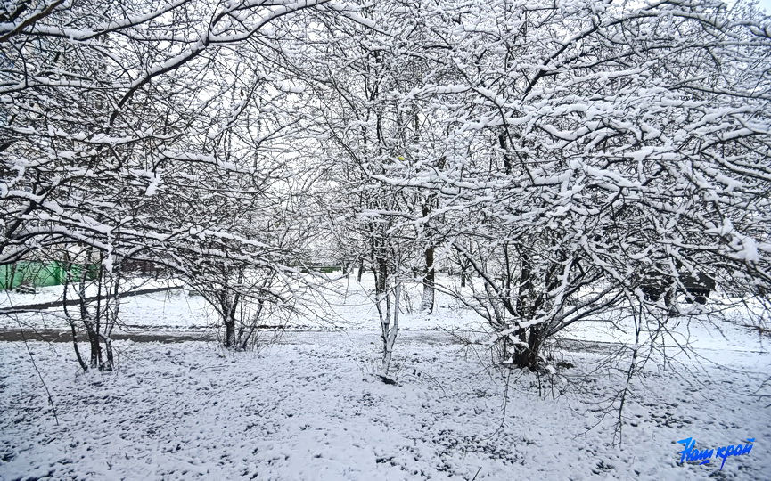 zima-sneg-2020_03.jpg