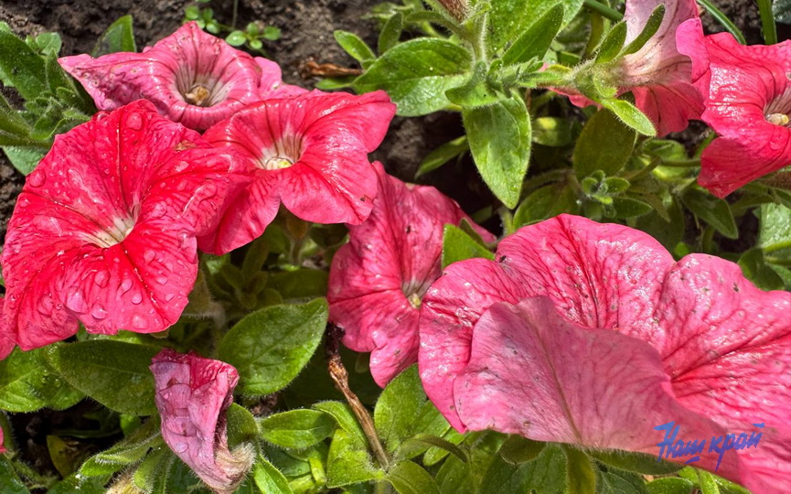 photo_2025-10-13_15-53-41.jpg photo_2025-10-13_15-53-41.jpg