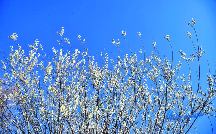 pogoda-vesna-_3397 (6).JPG