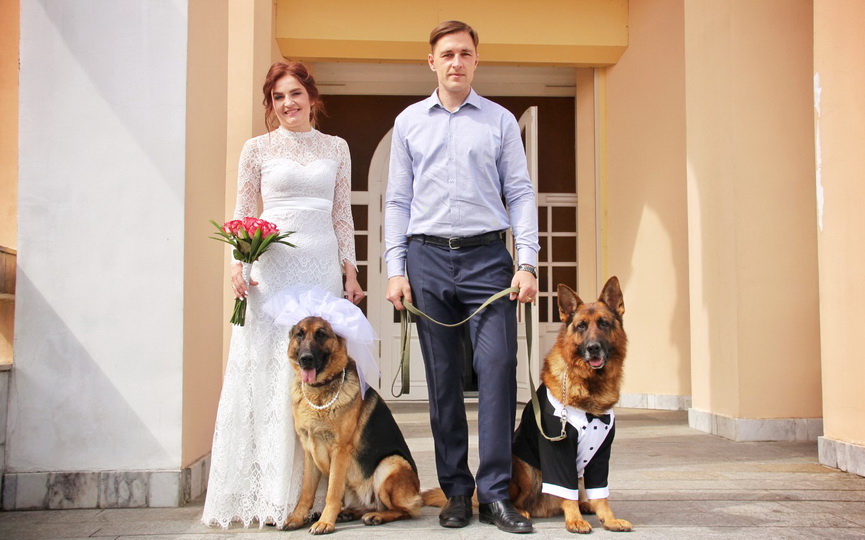 neobychnaya-svadba-kinologov_2.jpg