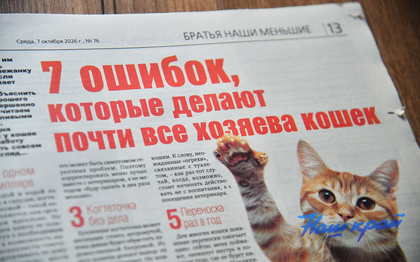 07-10-8.JPG