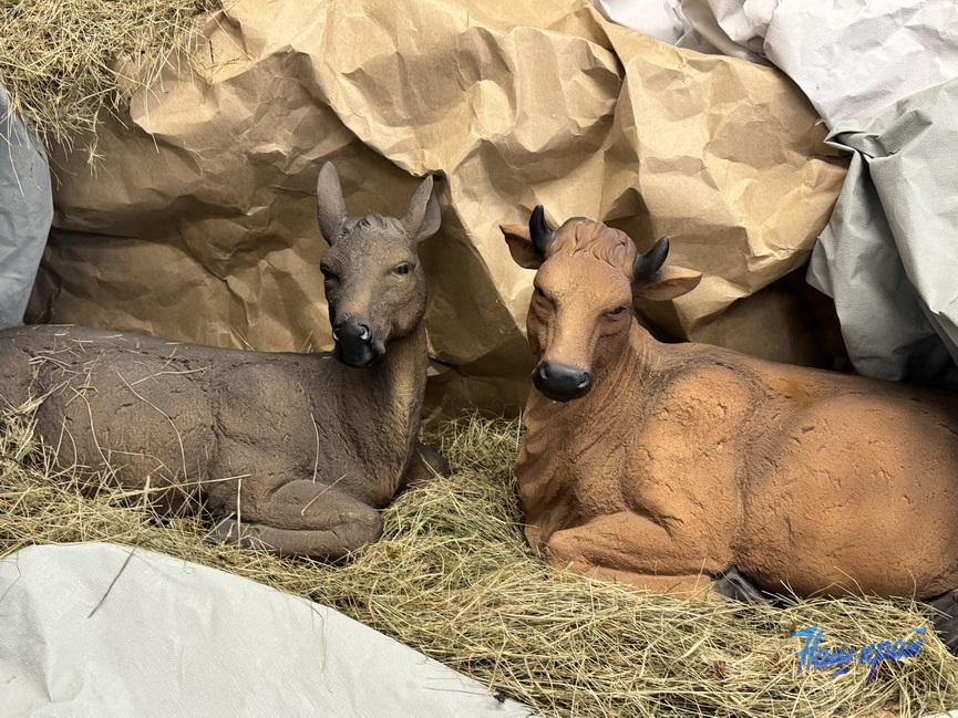 kostel-_8878 (8).jpeg