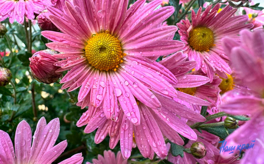 photo_2025-10-13_15-53-36.jpg photo_2025-10-13_15-53-36.jpg