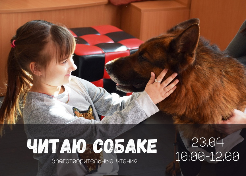 5podrobnosti-masshtabnogo-proekta-pomoshchi-bezdomnym-zhivotnym.jpg