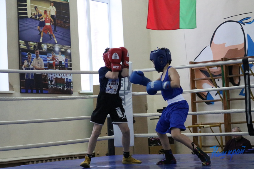 boks-_0561 (23).jpeg