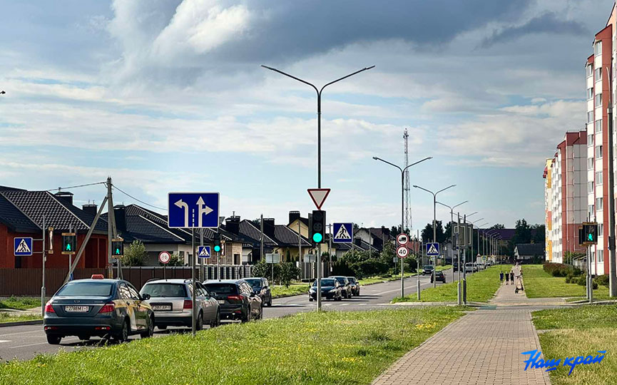 svetofor-voloshina-(1).jpg