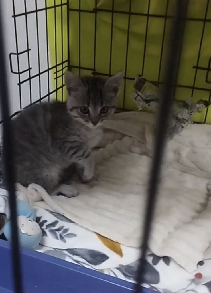 malysh.jpg malysh.jpg