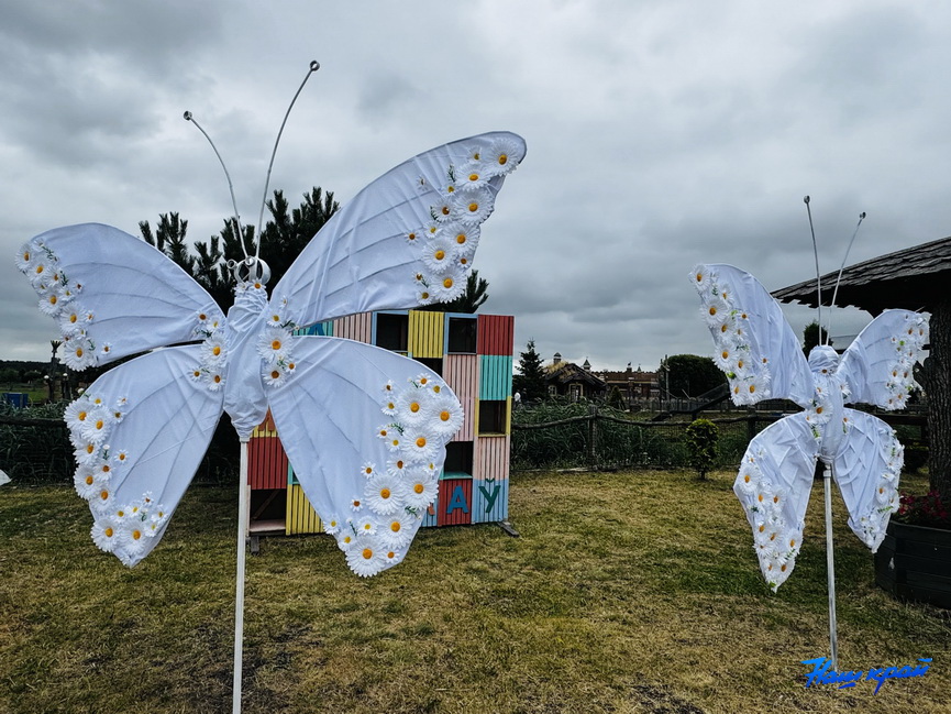 festival-(5).jpeg