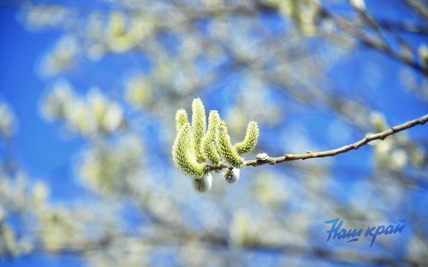 pogoda-vesna-_3397 (2).JPG