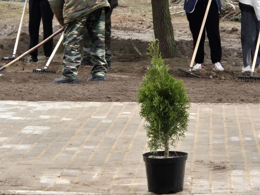 photo_2026-04-09_12-29-26 (9).jpg