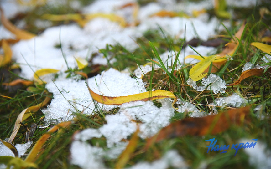 osen2-2026-noyabr (5).JPG