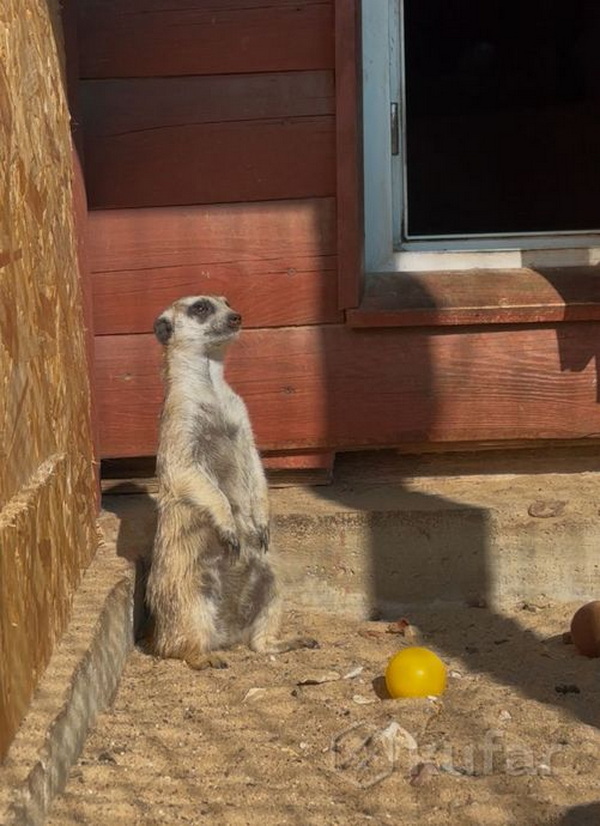 1231-22102025_3.jpg 1231-22102025_3.jpg