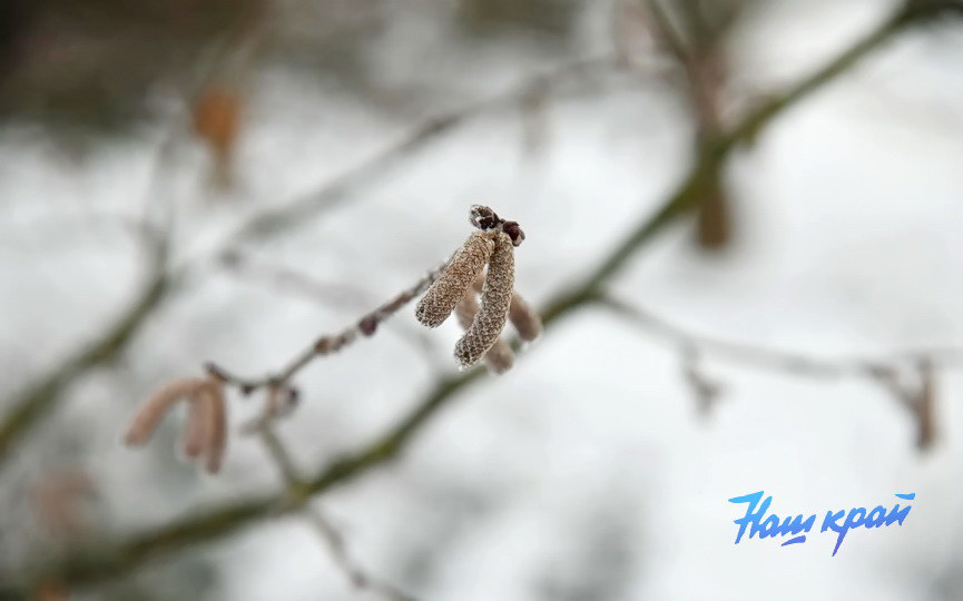 zima26-01-26 (12).JPG