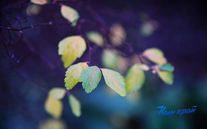 zima-dekabr (10).JPG