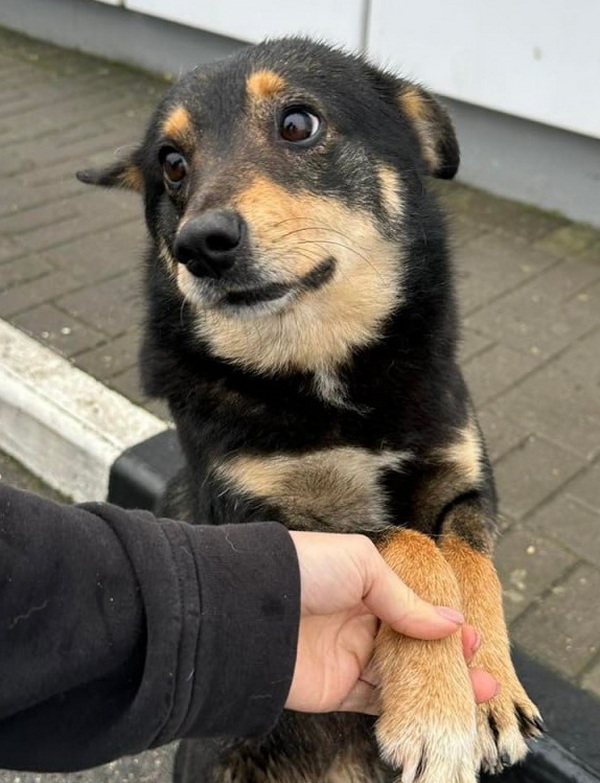 photo_2025-12-15_15-42-46 (3).jpg photo_2025-12-15_15-42-46 (3).jpg