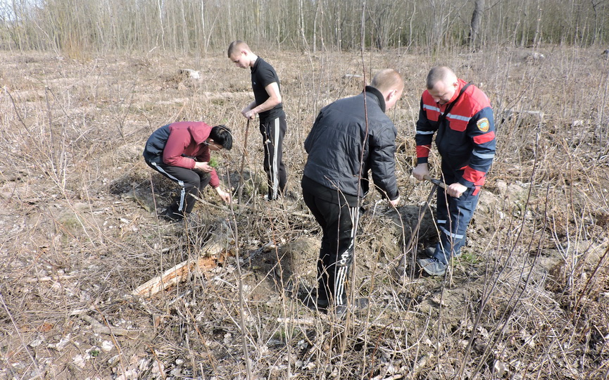 uborka-11-04_3.JPG