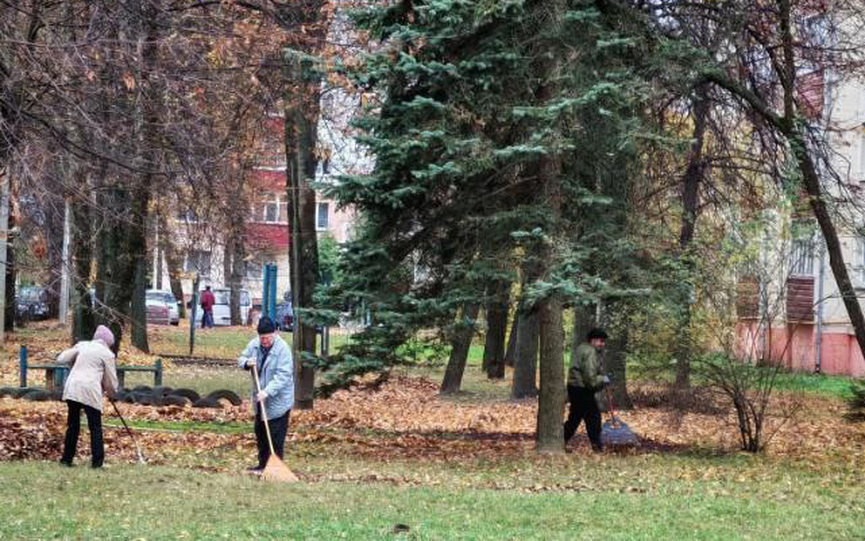 photo_2025-10-30_14-52-20-(2).jpg photo_2025-10-30_14-52-20-(2).jpg