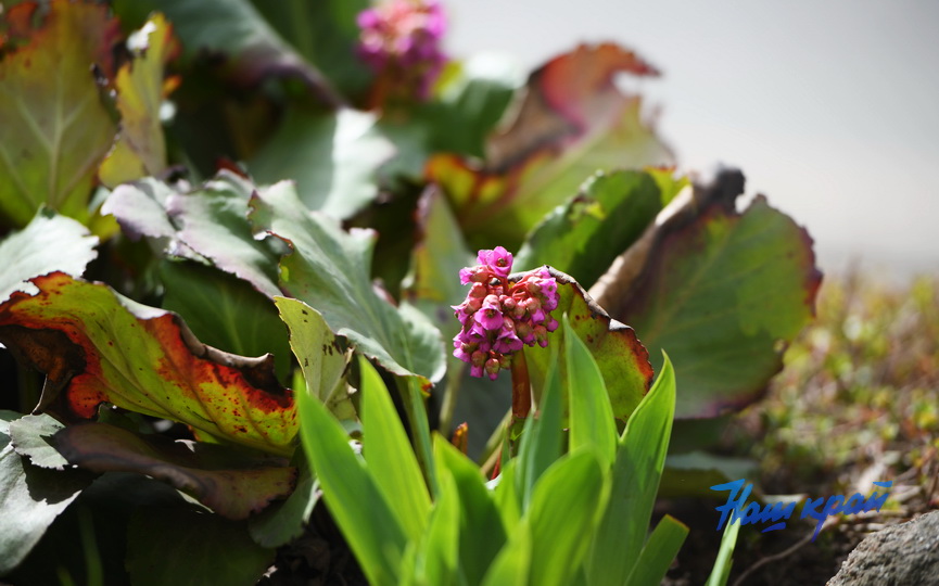 pogoda-8-04 (43).JPG