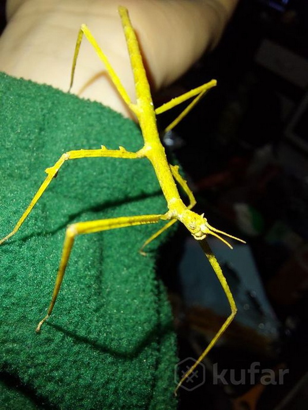 1231-22102025_1.jpg 1231-22102025_1.jpg