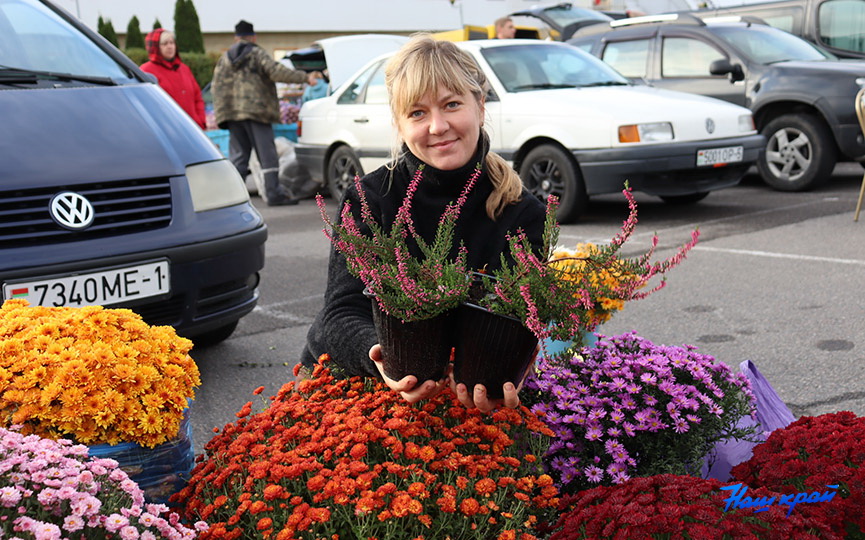 yarmarka-vozle-ledovogo-(2).jpg