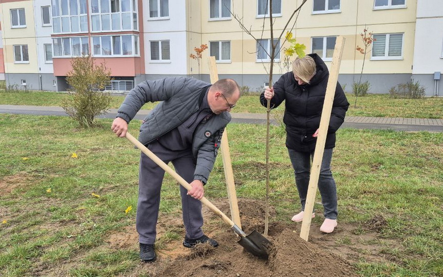 IMG_6035.jpeg IMG_6035.jpeg