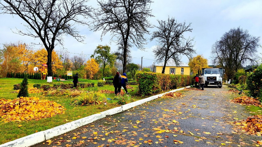 photo_2025-10-25_16-11-02_новый размер.jpg