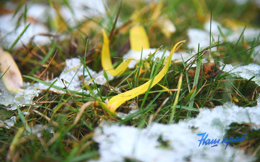 osen2-2026-noyabr (3).JPG