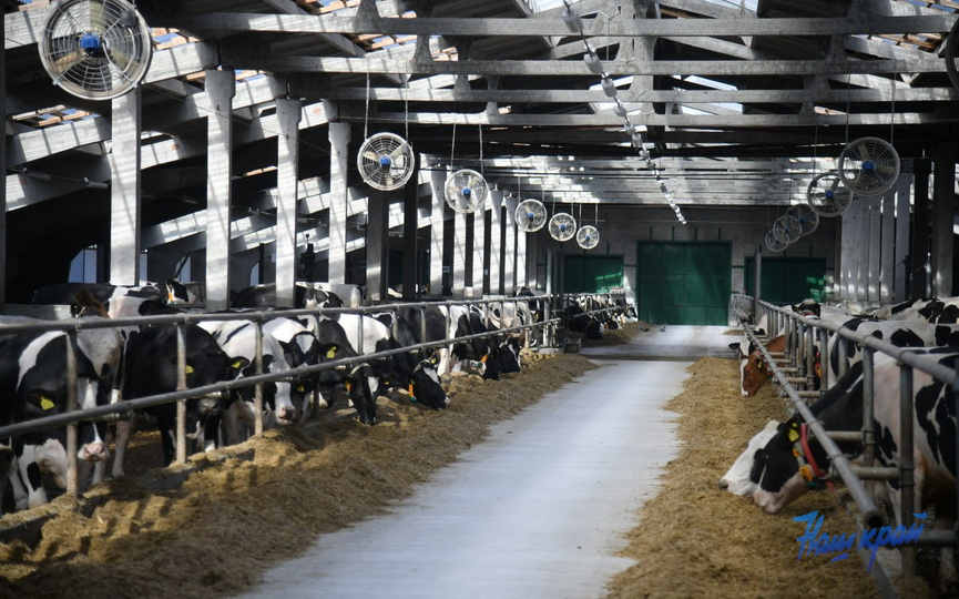 photo_2026-03-05_16-15-12 (4).jpg