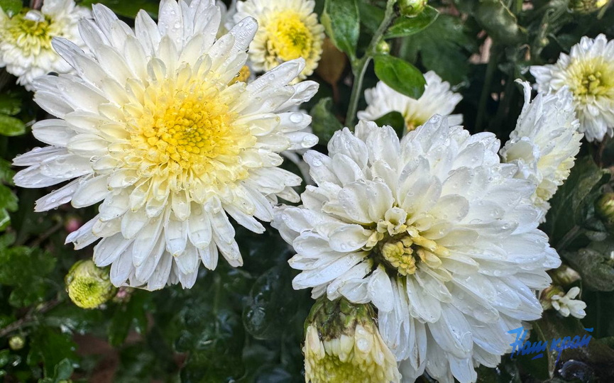 photo_2025-10-13_15-53-39.jpg photo_2025-10-13_15-53-39.jpg