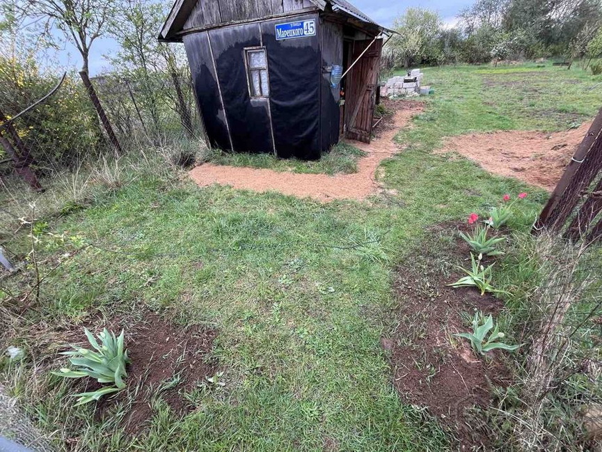 8484848488484848_2.jpg 8484848488484848_2.jpg