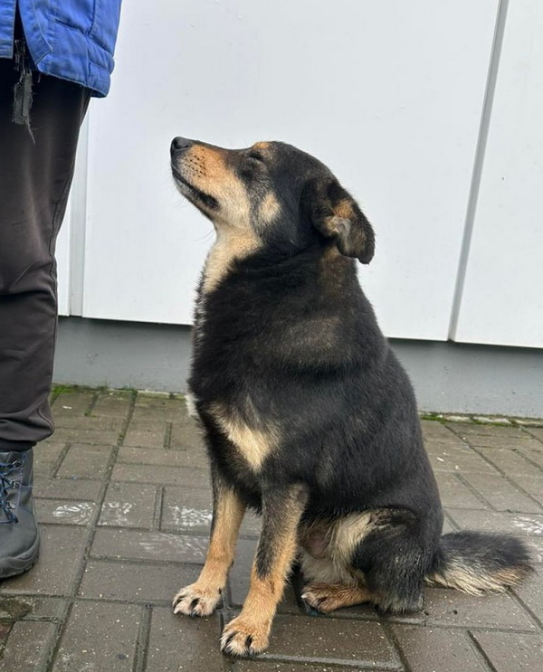 photo_2025-12-15_15-42-46 (4).jpg photo_2025-12-15_15-42-46 (4).jpg