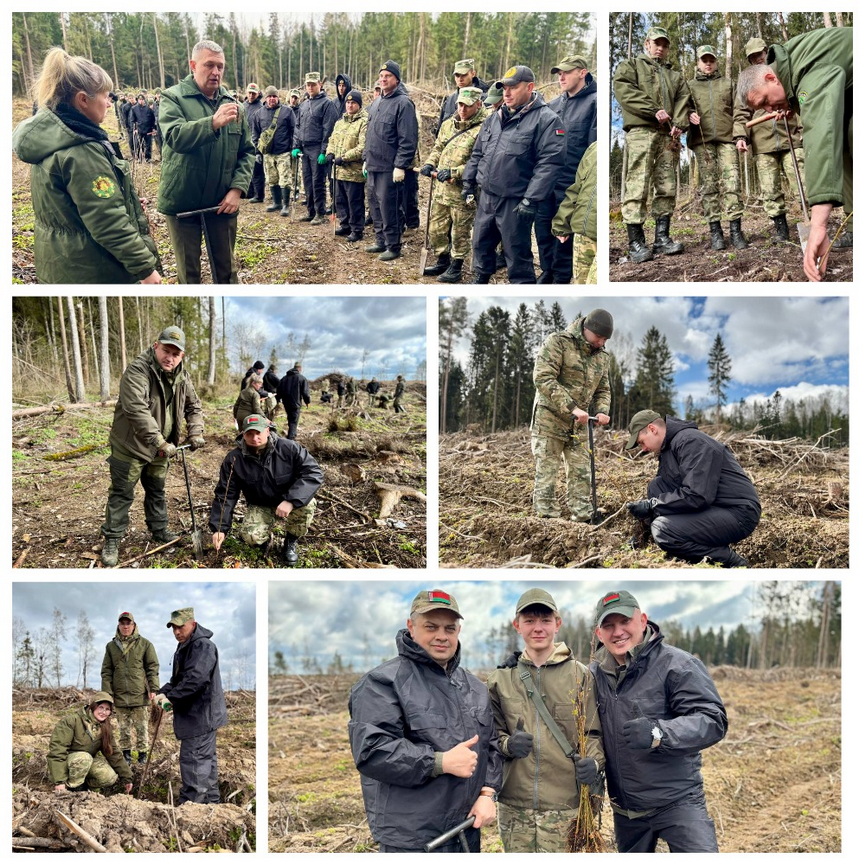 photo_2026-04-08_18-24-052.jpg photo_2026-04-08_18-24-052.jpg