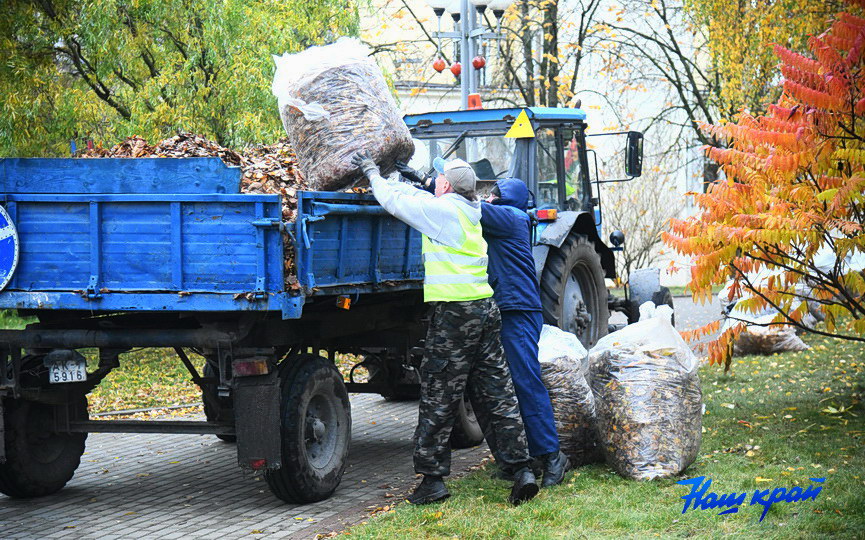 osen-pogoda_0004 (9).JPG