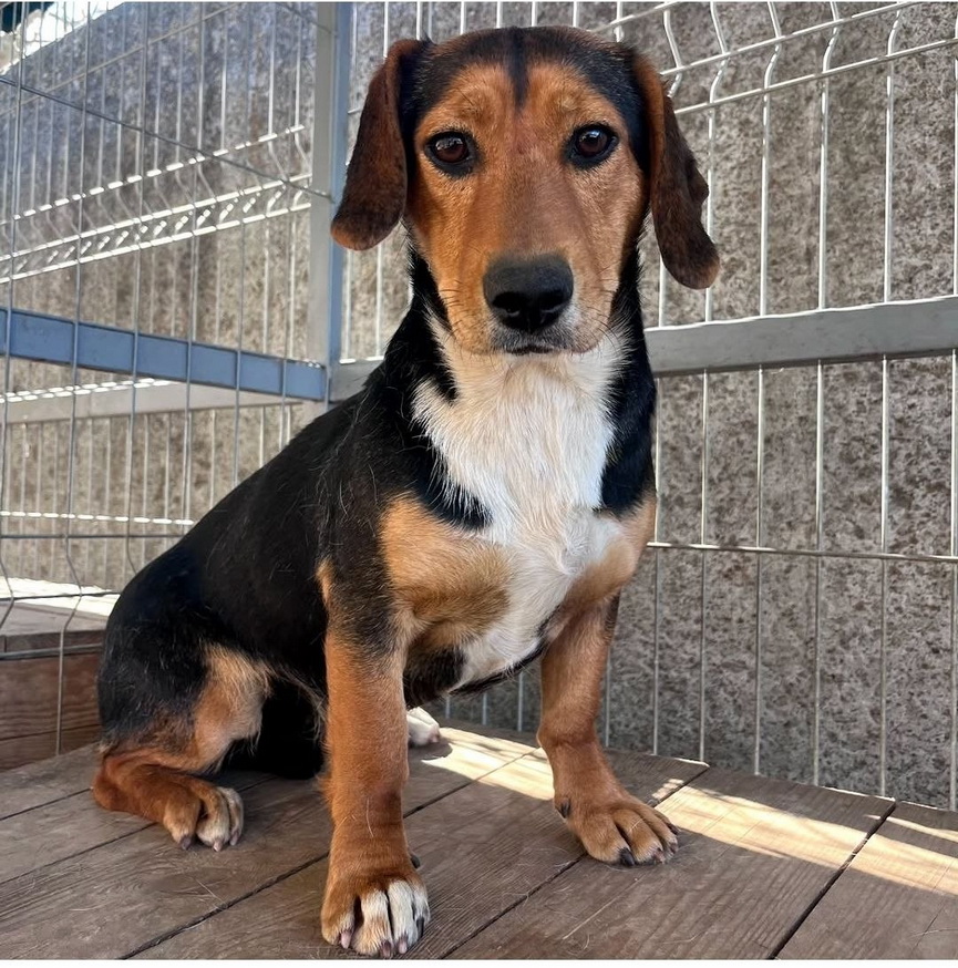 2026-07-06_10-59-6).jpg