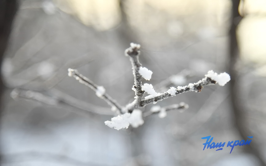 pogoda-19-01 (4).JPG