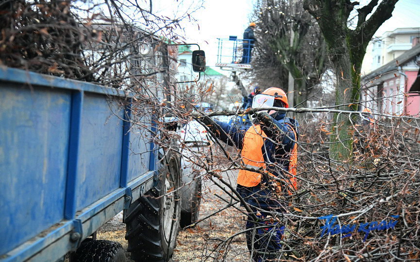 derevjya-obrezka (16).JPG