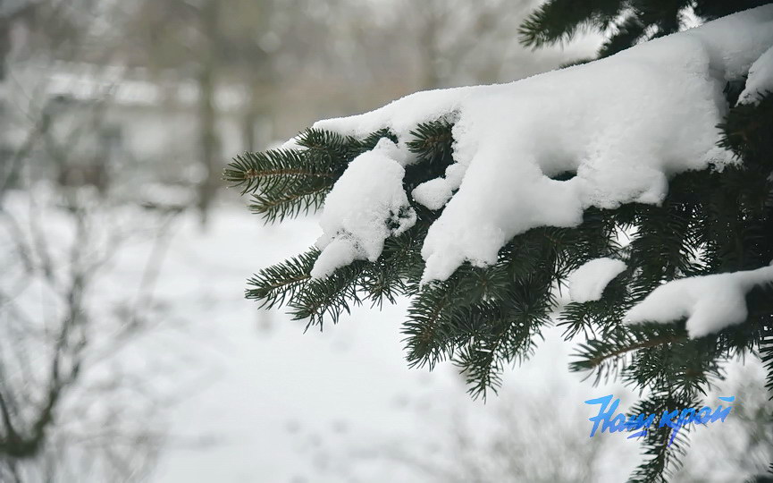 pogoda-yanvar-zima_5351 (21).JPG