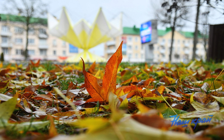 pogoda-1-dekabrya- (10).JPG