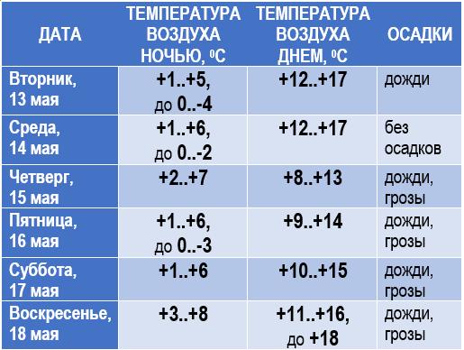 2025-05-12_12-40-16-009.jpg
