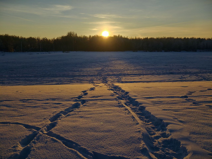 photo_2026-01-19_18-30-32 (2).jpg