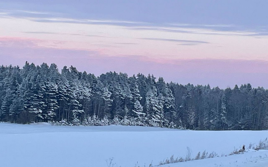 photo_2026-01-12_18-47-00.jpg photo_2026-01-12_18-47-00.jpg