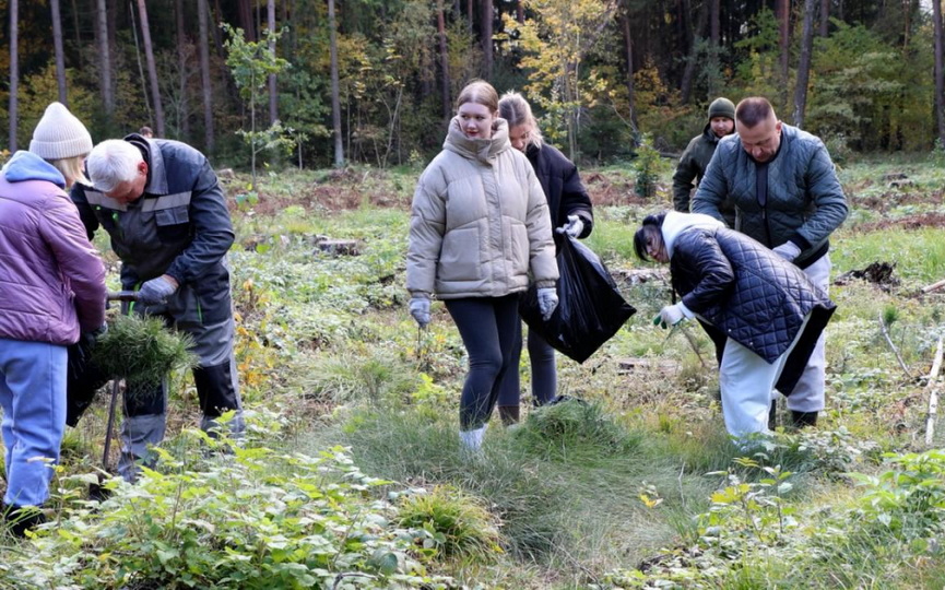 les-_07.jpg les-_07.jpg