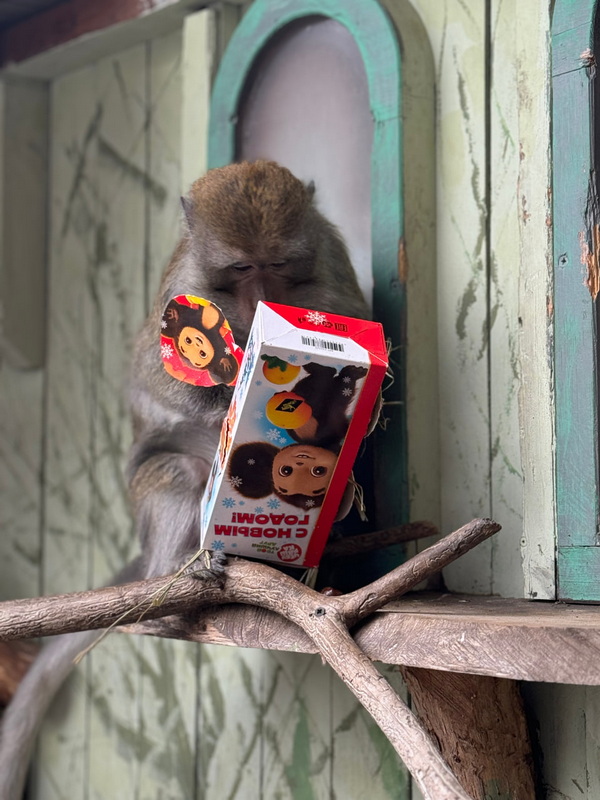 photo_2025-12-11_09-43-09 (4).jpg photo_2025-12-11_09-43-09 (4).jpg