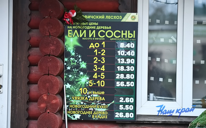 elka-elochnye (6).JPG