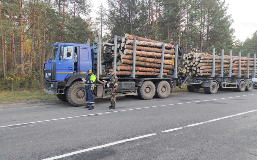 Беспилотники в Барановичском районе отслеживают нарушителей ПДД и браконьеров