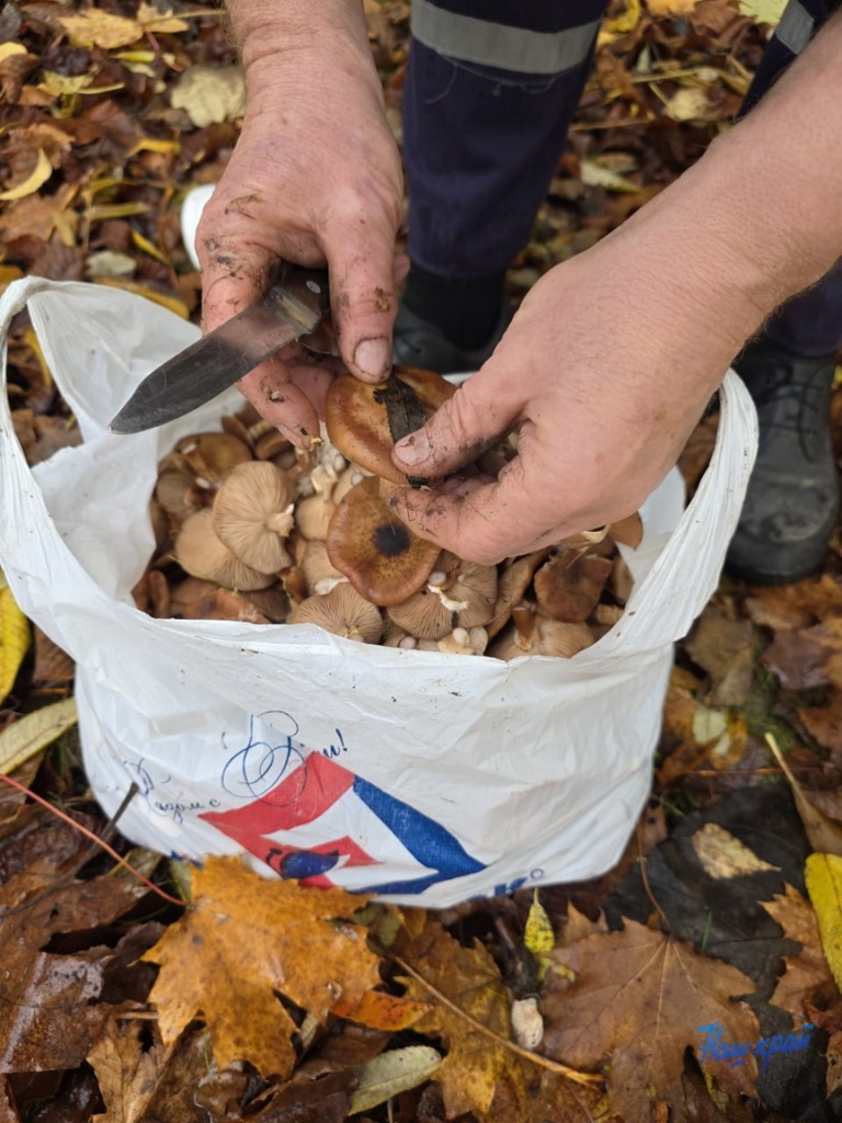 photo_2025-10-29_12-44-25 (2).jpg photo_2025-10-29_12-44-25 (2).jpg