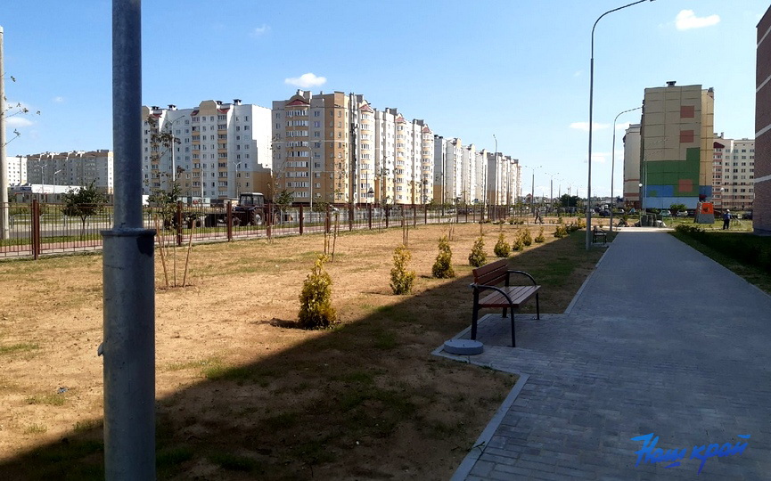 shkola-borovki-22-07_09.jpg